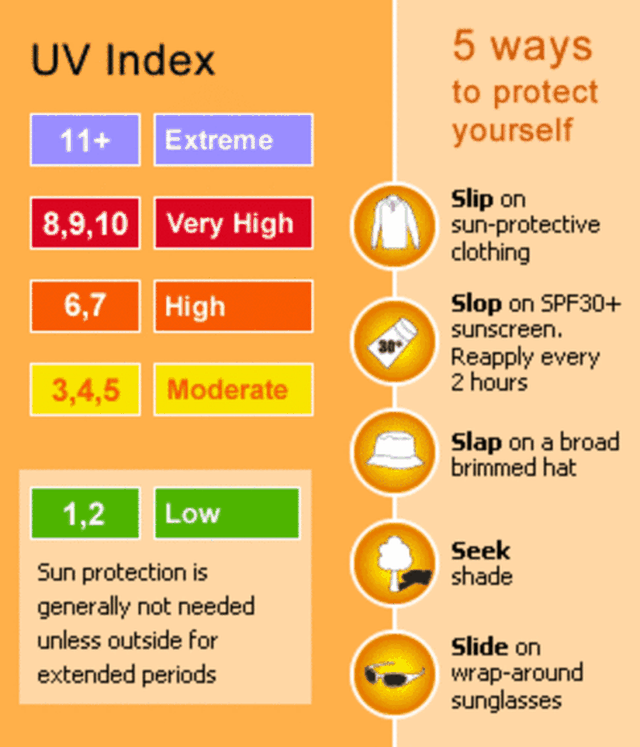 Mùa hè: Chắn che UV, ngăn ngừa nhiệt nóng - 4