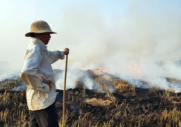 Đốt rơm rạ: Lãng phí tài nguyên, ô nhiễm môi trường - 1