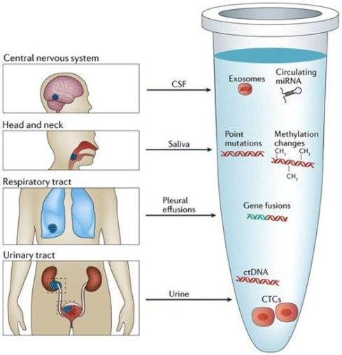 DT 362 Cancer SEEK Hình 5 (1)