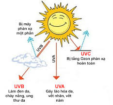 DT 341 UV SỐC NHIỆT 2.jpg