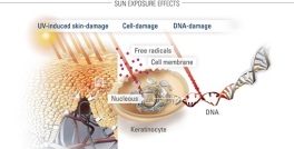 UV Factors-that-influence-skin-by-sun