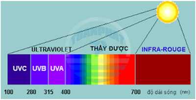 UV day-quang-pho