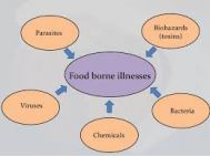 FOOD BORNE DISEASE 2