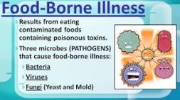 FOOD BORNE DISEASE 1