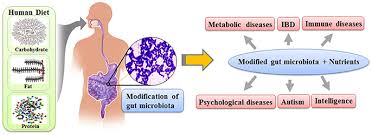 DT 345 GUT MICROBIOME hình 2