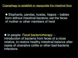 DT 345 GUT MICROBIOME hình 4B