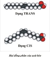 TRANS FAT (2) - Copy