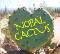 NOPAL 1A