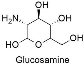 DT 318 THOÁI KHỚP (glucosamine)