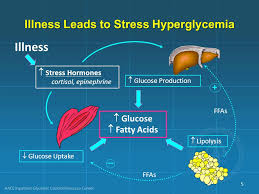 STRESS HYPERGLYCEMIA.jpg