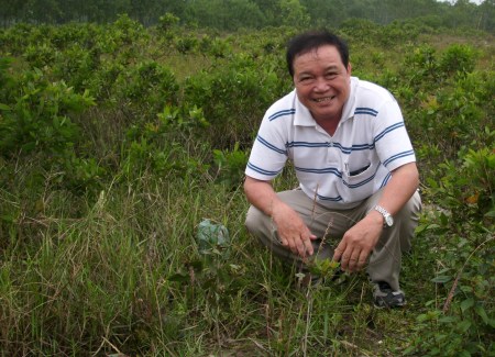 H2b DẦU TRÀM HOANG DẠI 2