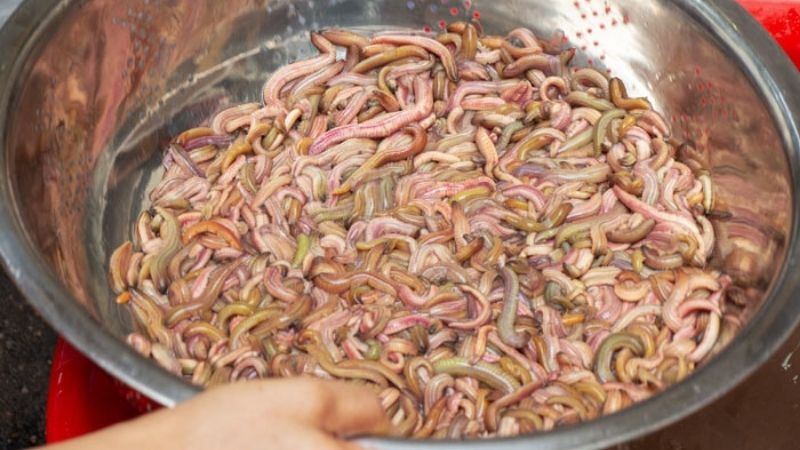 Rửa sạch bùn đất